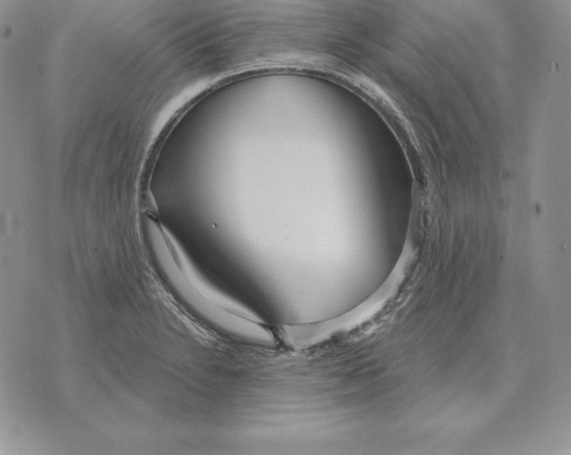 X0000070361230200606301822