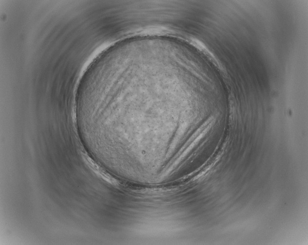 X0000070361232200606301822