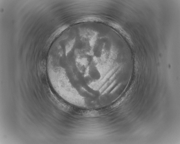 X0000070361233200606301822