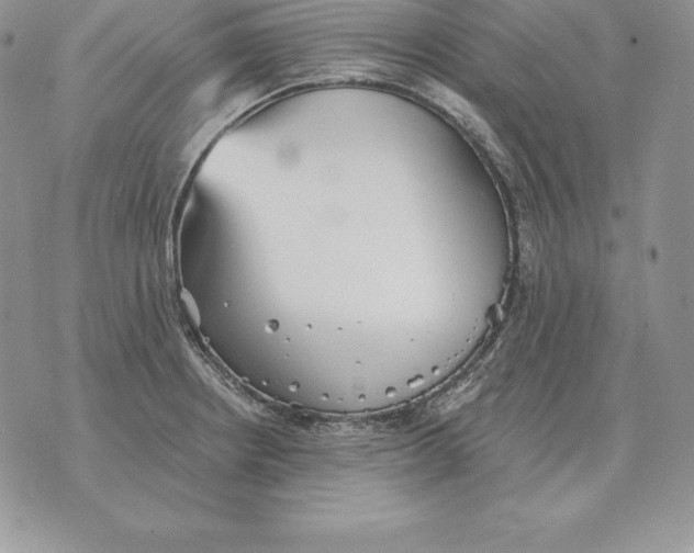 X0000070361234200606301822