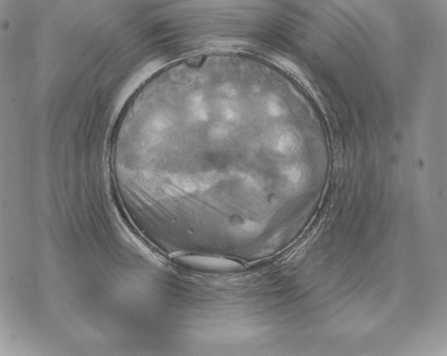 X0000070361235200606301823