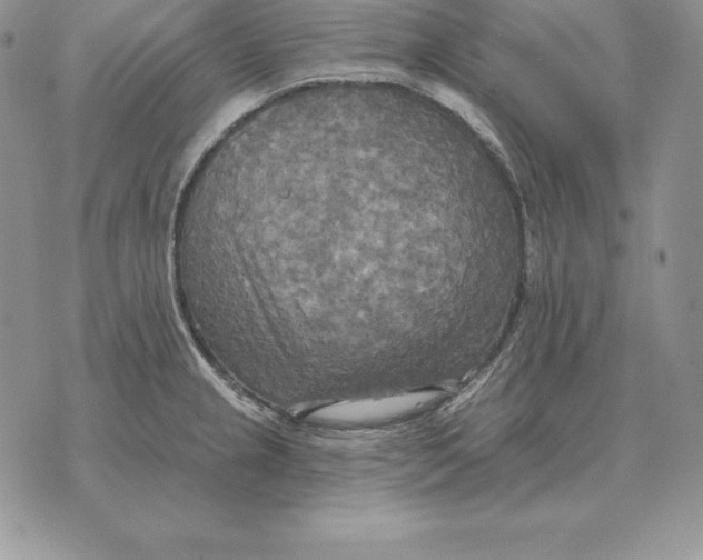 X0000070361237200606301823