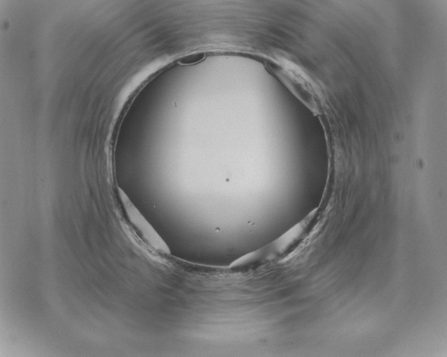 X0000070361238200606301823