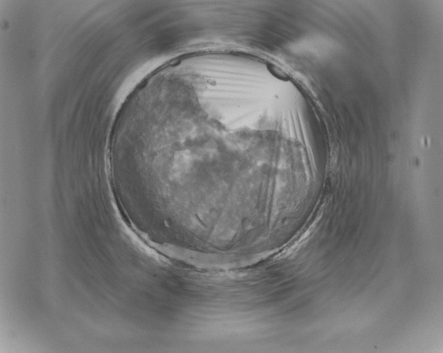 X0000070361239200606301823