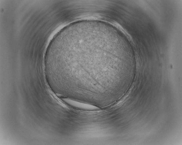 X0000070361240200606301823