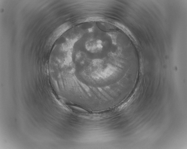 X0000070361241200606301823