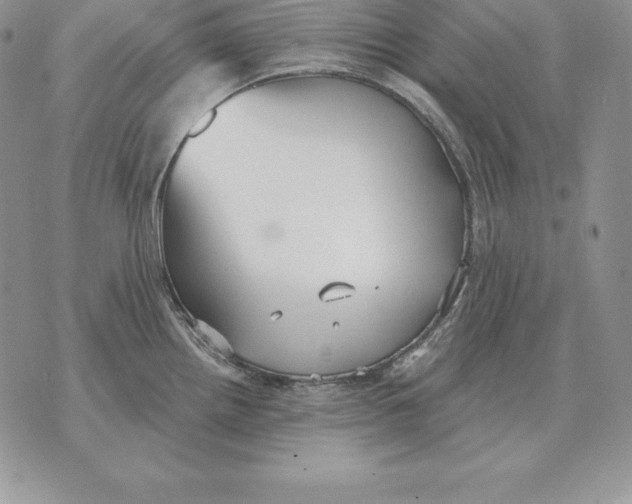 X0000070361242200606301823