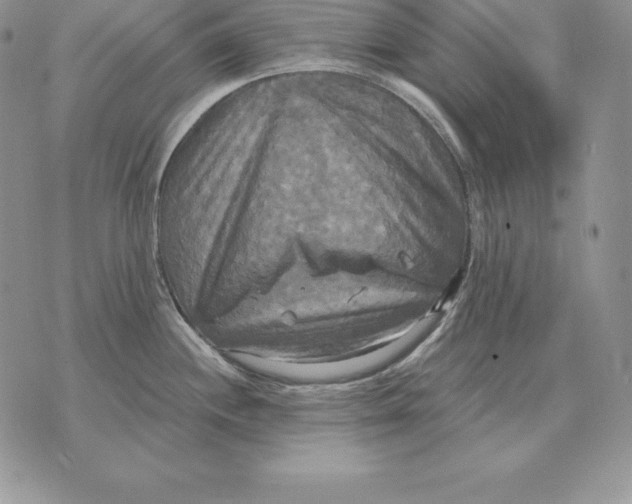 X0000070361244200606301823