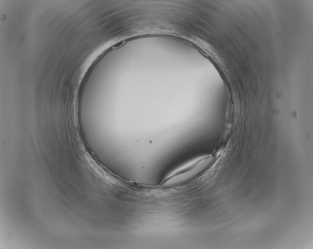 X0000070361246200606301823