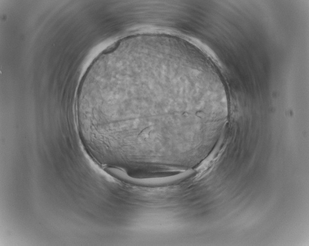 X0000070361247200606301823