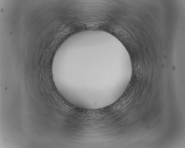 X0000070361249200606301822