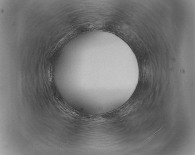 X0000070361250200606301822