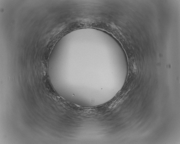 X0000070361253200606301822