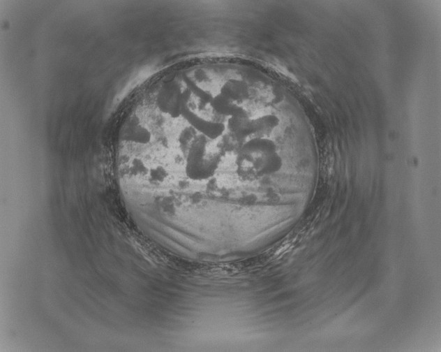 X0000070361255200606301822