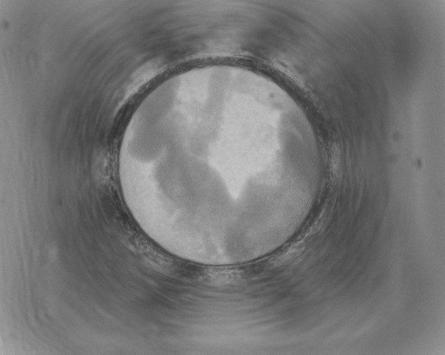 X0000070361258200606301822