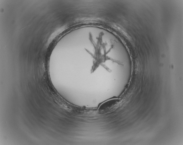 X0000070361261200606301822