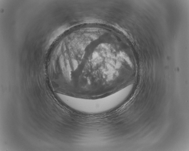 X0000070361263200606301822