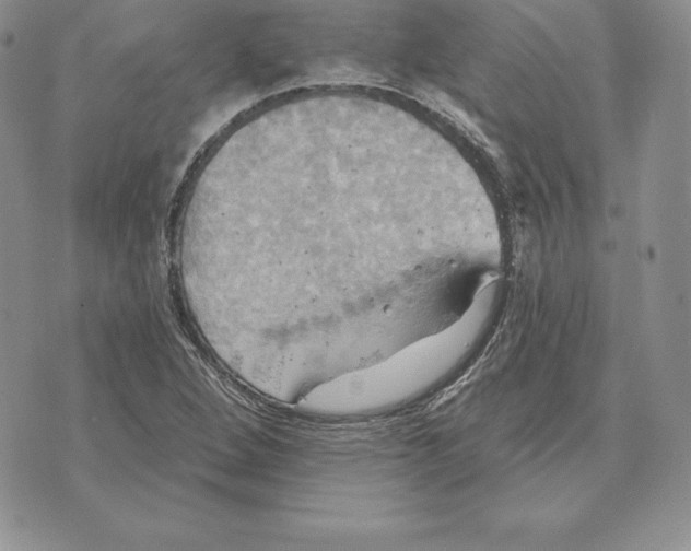 X0000070361264200606301822