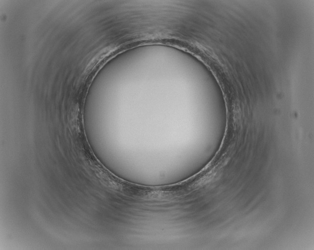 X0000070361265200606301822