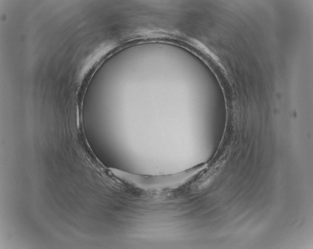 X0000070361269200606301822