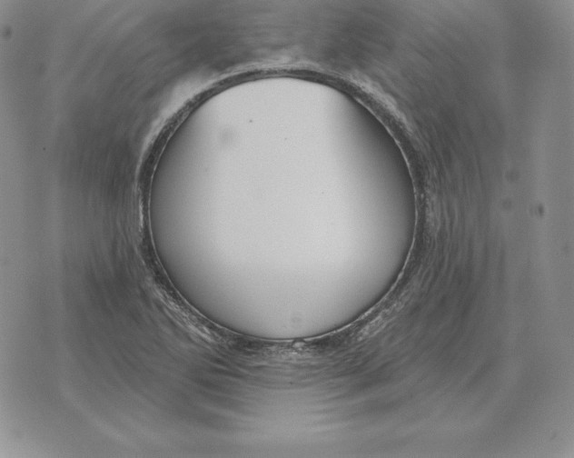 X0000070361270200606301822