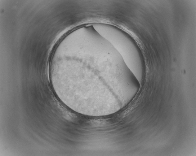 X0000070361272200606301822