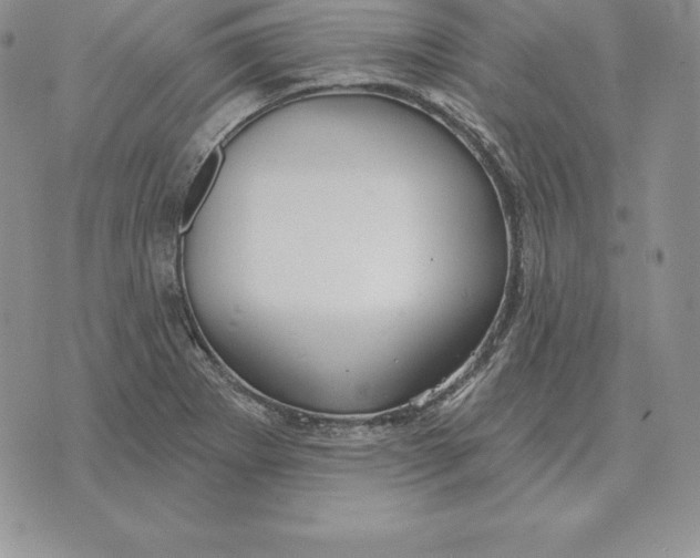 X0000070361273200606301822