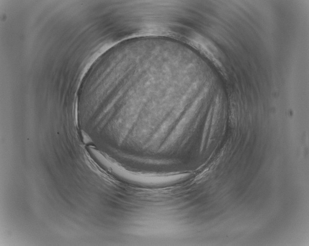 X0000070361276200606301822