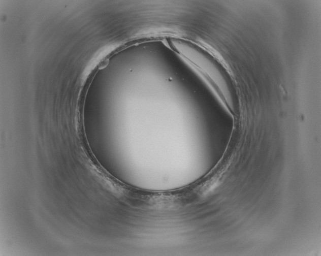 X0000070361277200606301821