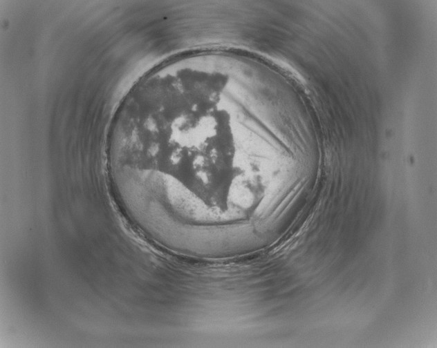 X0000070361279200606301821