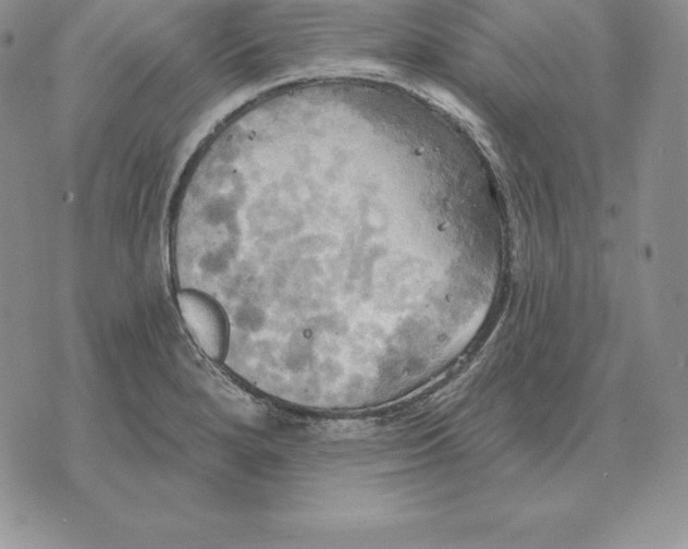 X0000070361280200606301821