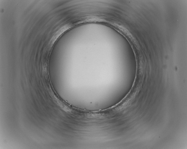 X0000070361281200606301821