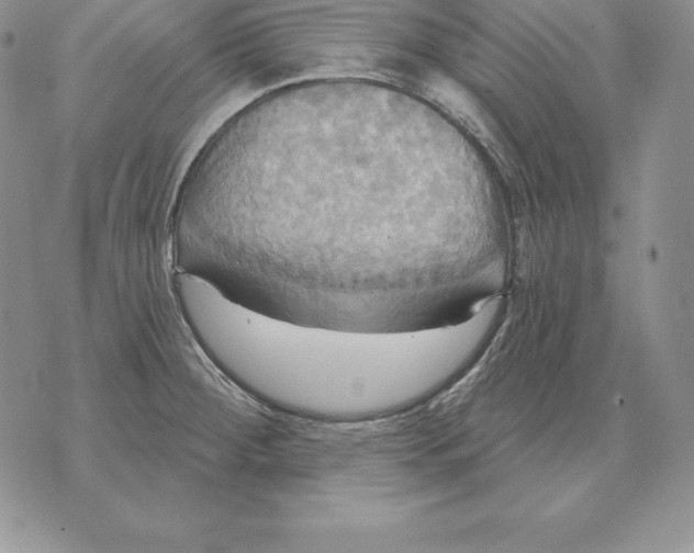 X0000070361284200606301821