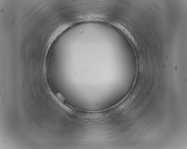 X0000070361285200606301821