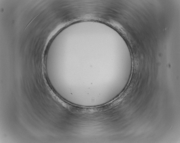 X0000070361286200606301821