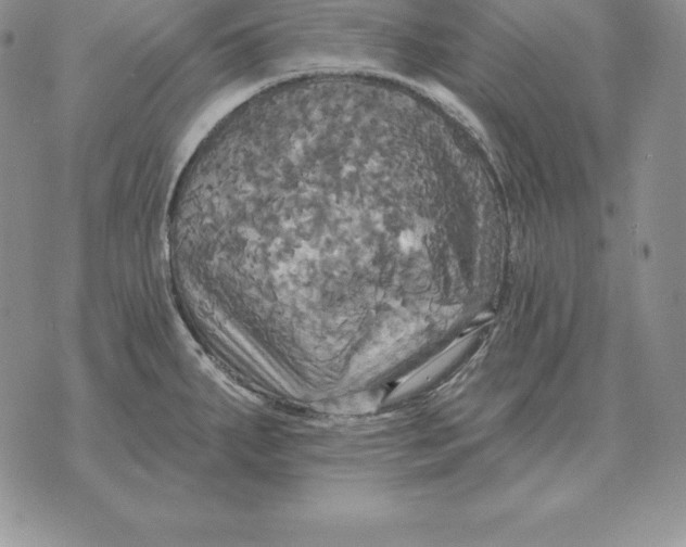 X0000070361287200606301821