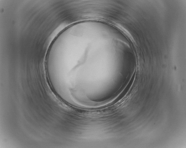 X0000070361291200606301821