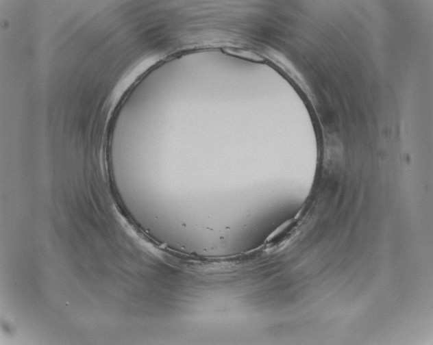 X0000070361293200606301821