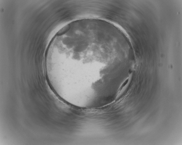 X0000070361295200606301821