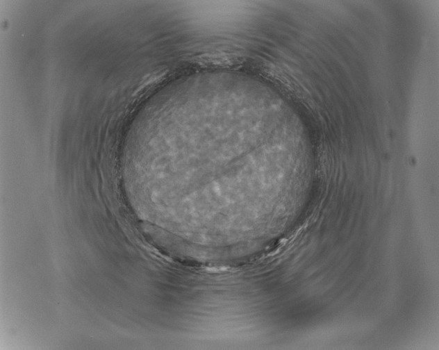 X0000070361297200606301820