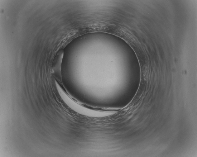 X0000070361298200606301820