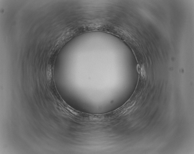 X0000070361299200606301820