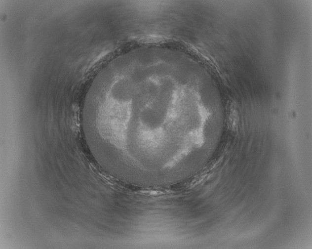 X0000070361301200606301820