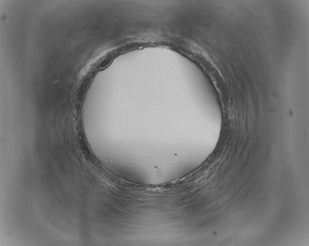 X0000070361304200606301821