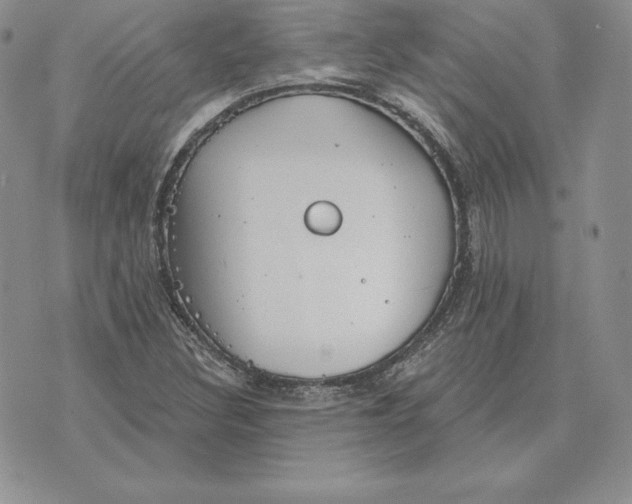 X0000070361308200606301821