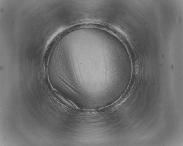 X0000070361310200606301821