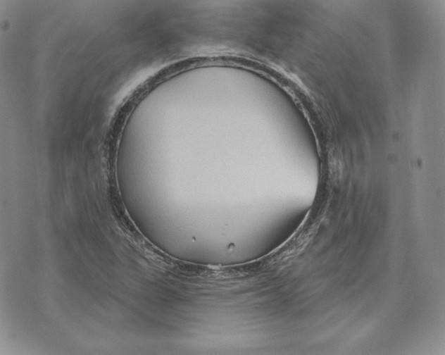 X0000070361311200606301821