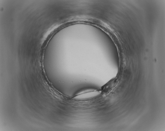 X0000070361312200606301821