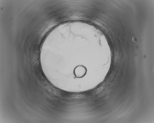 X0000070361314200606301821