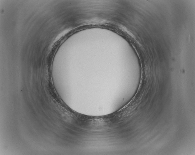 X0000070361315200606301821